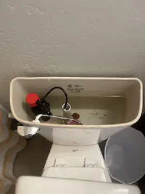 Toilet repair with a new fill valve and flapper installed in the tank.